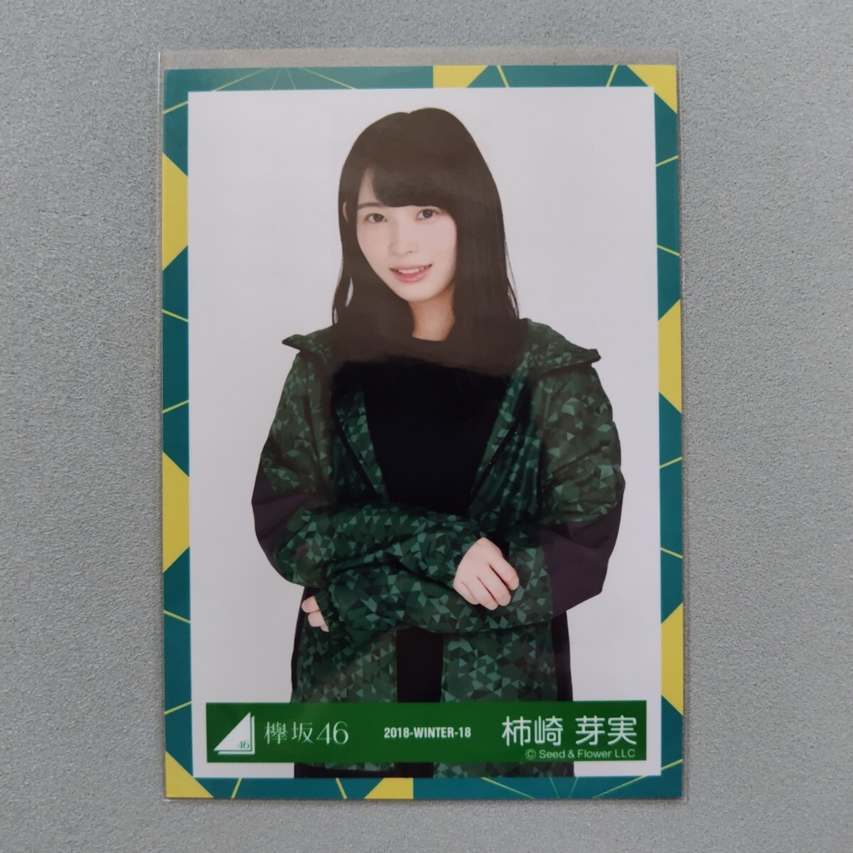 Yahoo!オークション -「柿崎芽実」の落札相場・落札価格