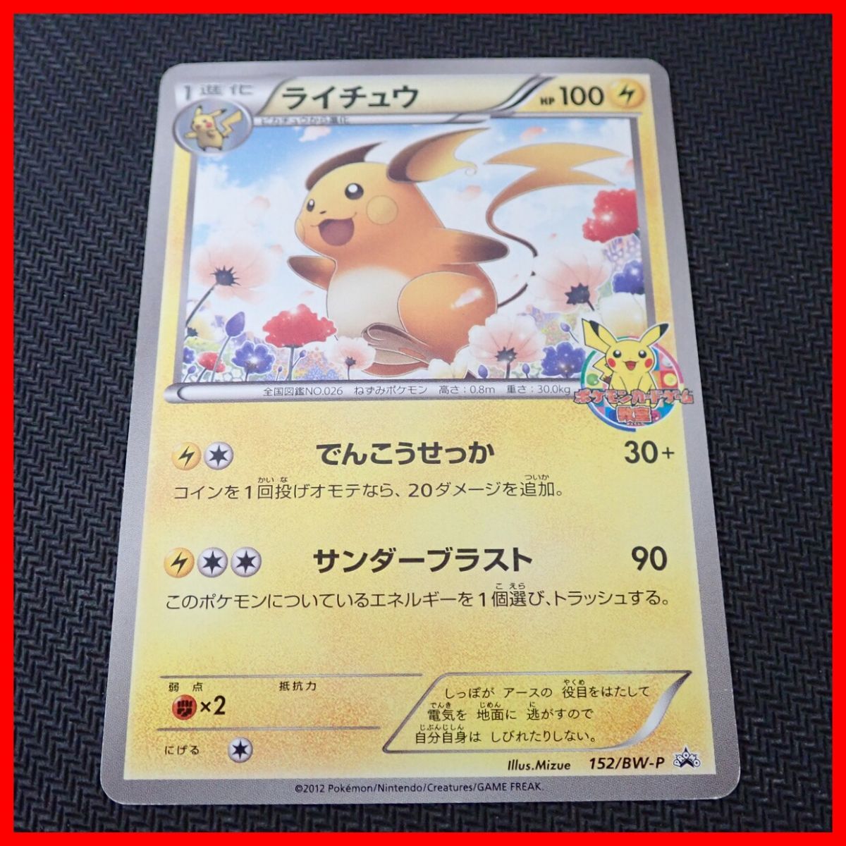 Yahoo!オークション -「ライチュウ プロモ」の落札相場・落札価格