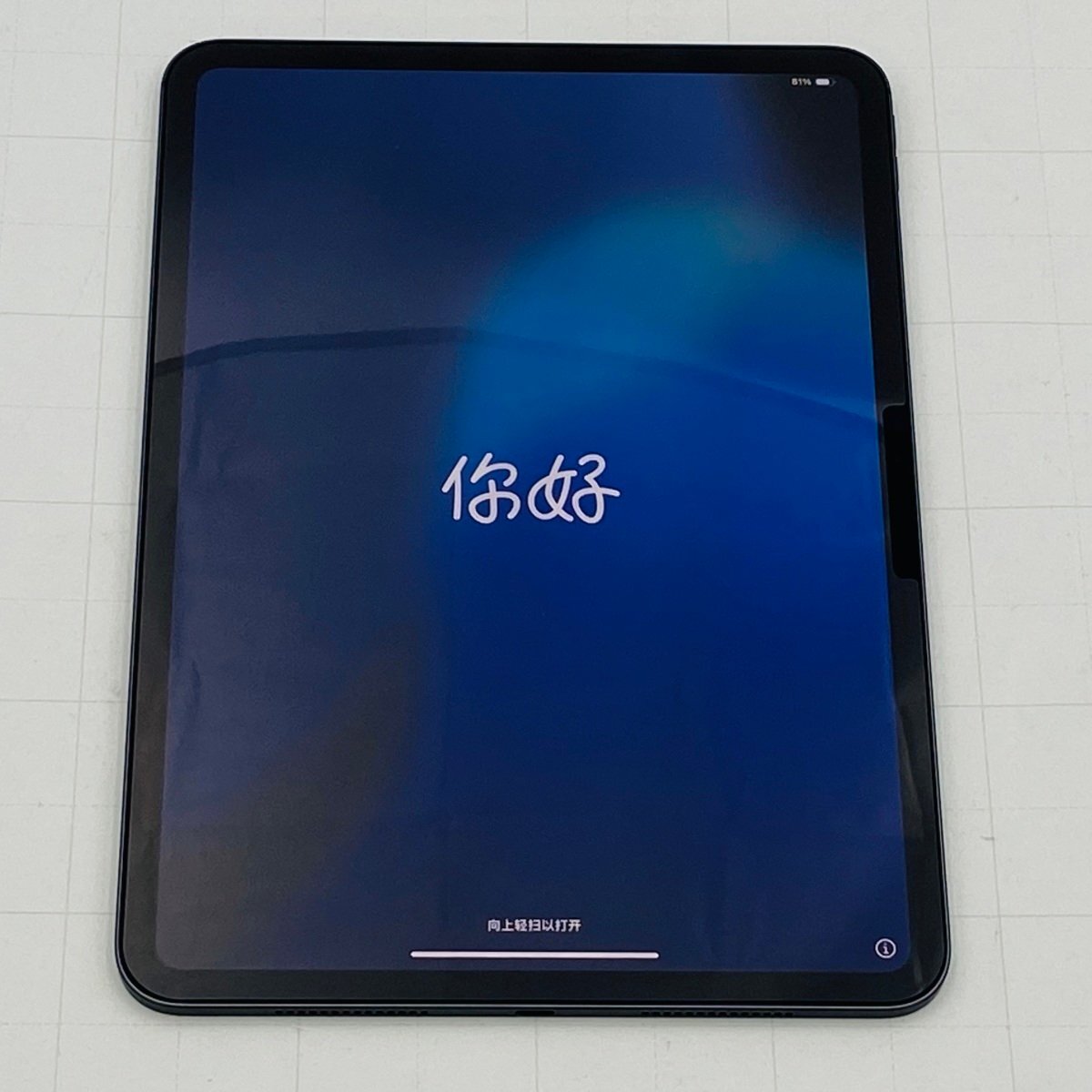 Apple iPad Pro 11インチ Wi-Fi 256GB 2024年春モデル MVV83J/A