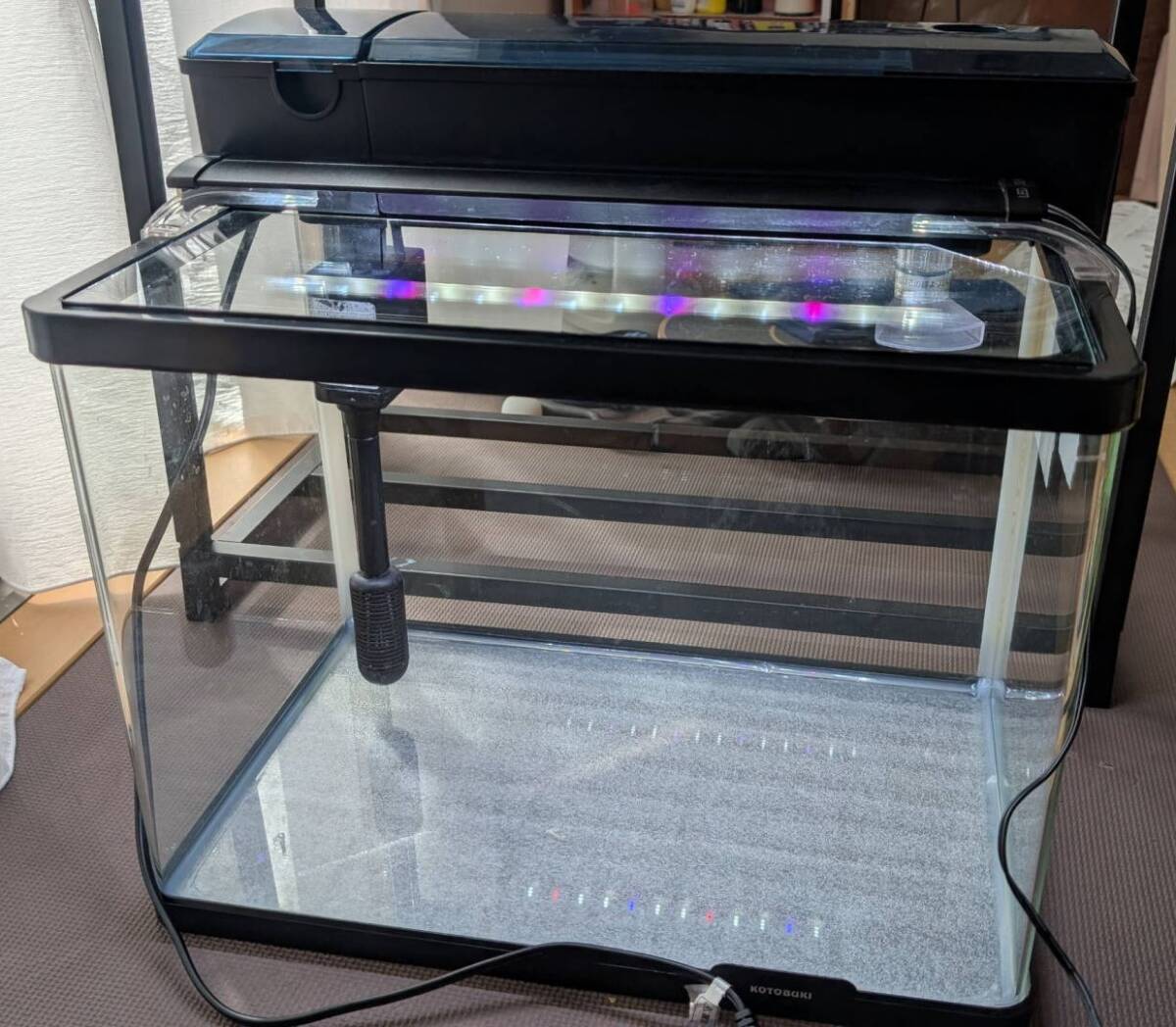 2025年最新】Yahoo!オークション -水槽 福岡の中古品・新品・未