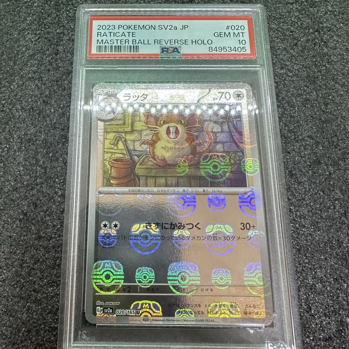 Yahoo!オークション -「マスターボール ミラー psa10」の落札
