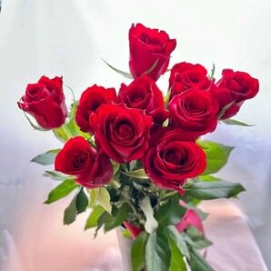 お買い得品、タネ23種お試しセット+全国匿名送料無料です\(^o^)/。