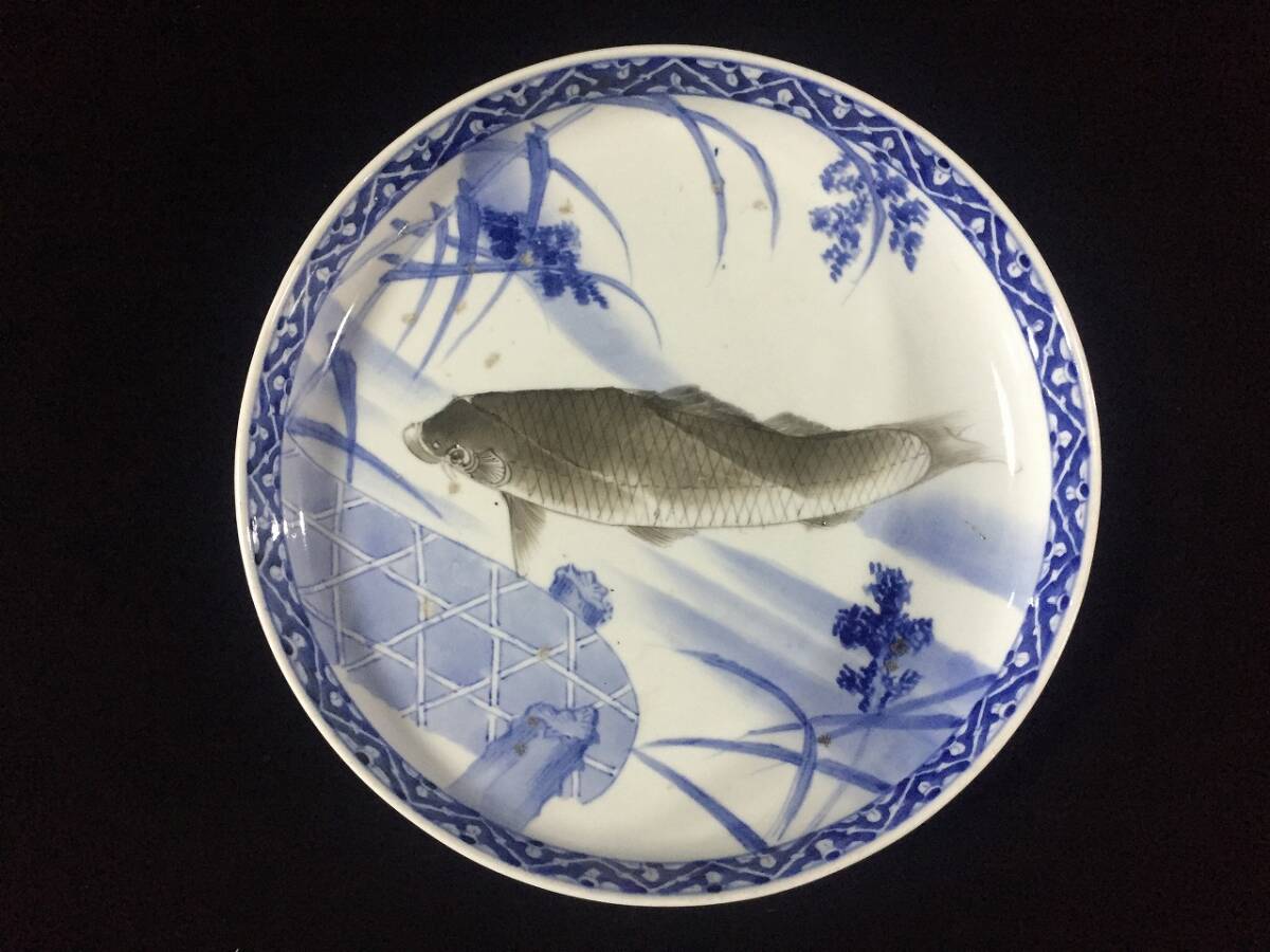 2025年最新】Yahoo!オークション -大皿 鯉の中古品・新品・未