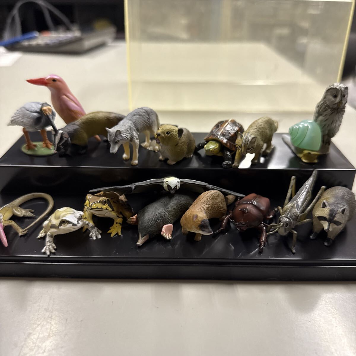 2025年最新】Yahoo!オークション - 日本の動物コレクション