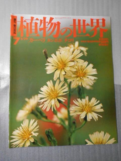 2025年最新】Yahoo!オークション -朝日百科 植物の世界の中古品