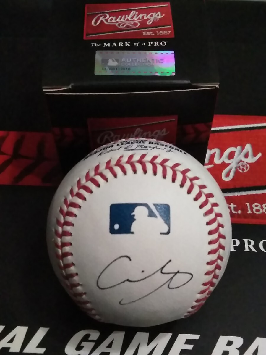 ロサンゼルスドジャース　大谷翔平選手　直筆サインボール　 MLB公式球 ドジャース 大谷翔平 直筆サイン ボール MLB デビュー前 旧