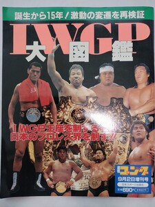 IWGP большой иллюстрированная книга гонг больше . Anne tonio. дерево Халк Hogan