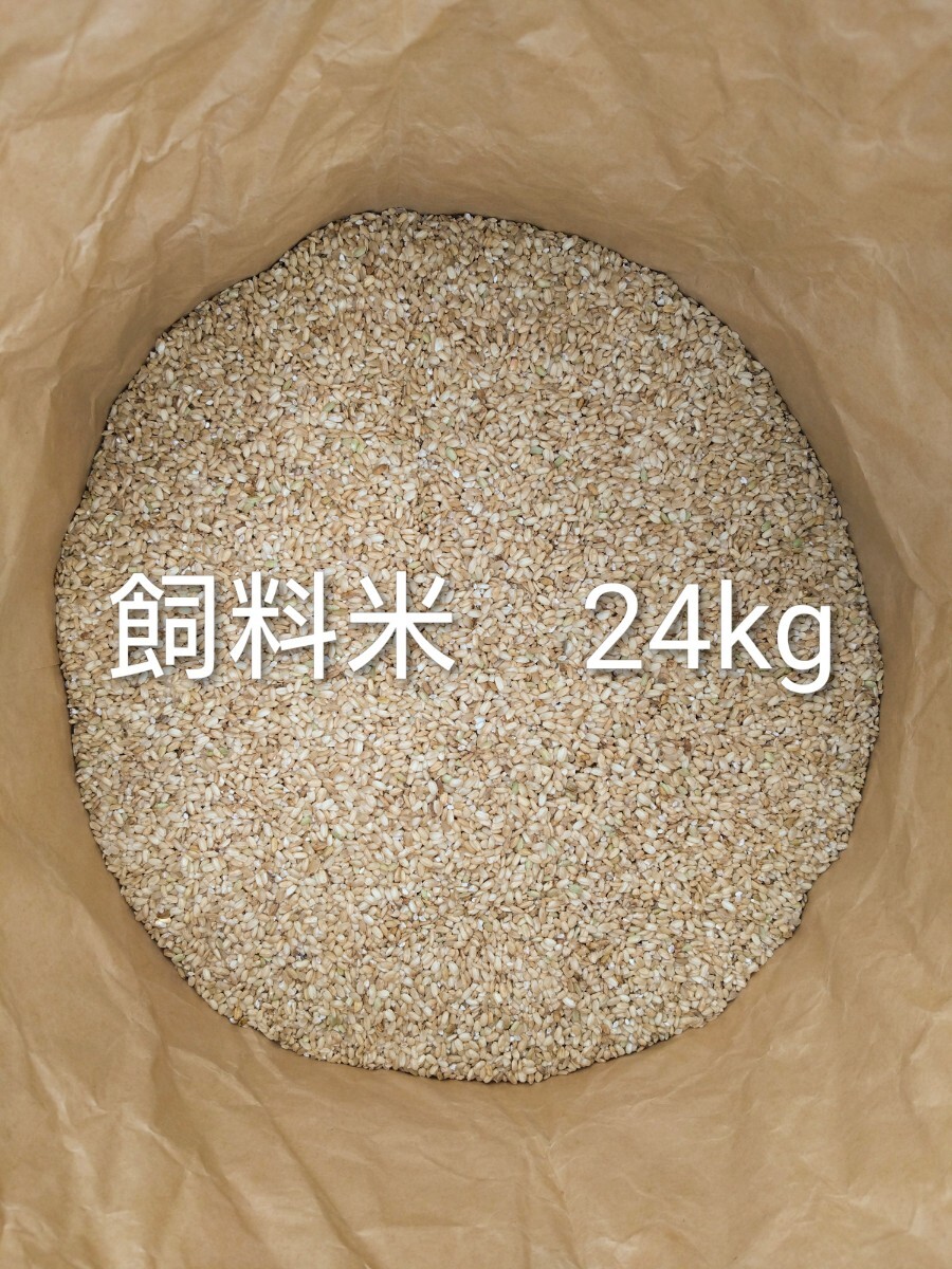 2025年最新】Yahoo!オークション -くず米の中古品・新品・未使用