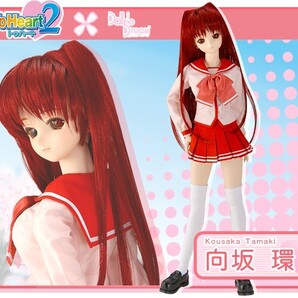 【超希少】Dollfie Dream 向坂環 タマ姉 ボークス2006年限定販売 ドルフィードリーム