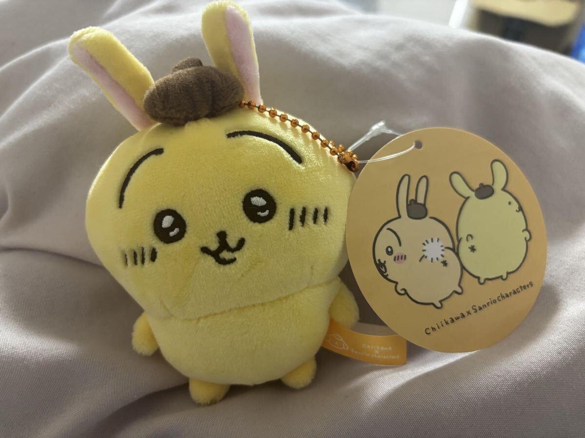 2025年最新】Yahoo!オークション -サンリオ ポムポムプリン