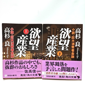 欲望産業 小説・巨大消費者金融 上下巻セット 高杉良 文庫 小説