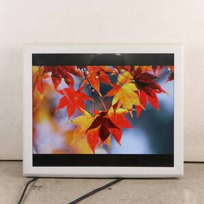 6635 タッチパネル Elo ET1915LL-8CJA-1-BG-G 19型 超音波表面弾性波 ディスプレイ