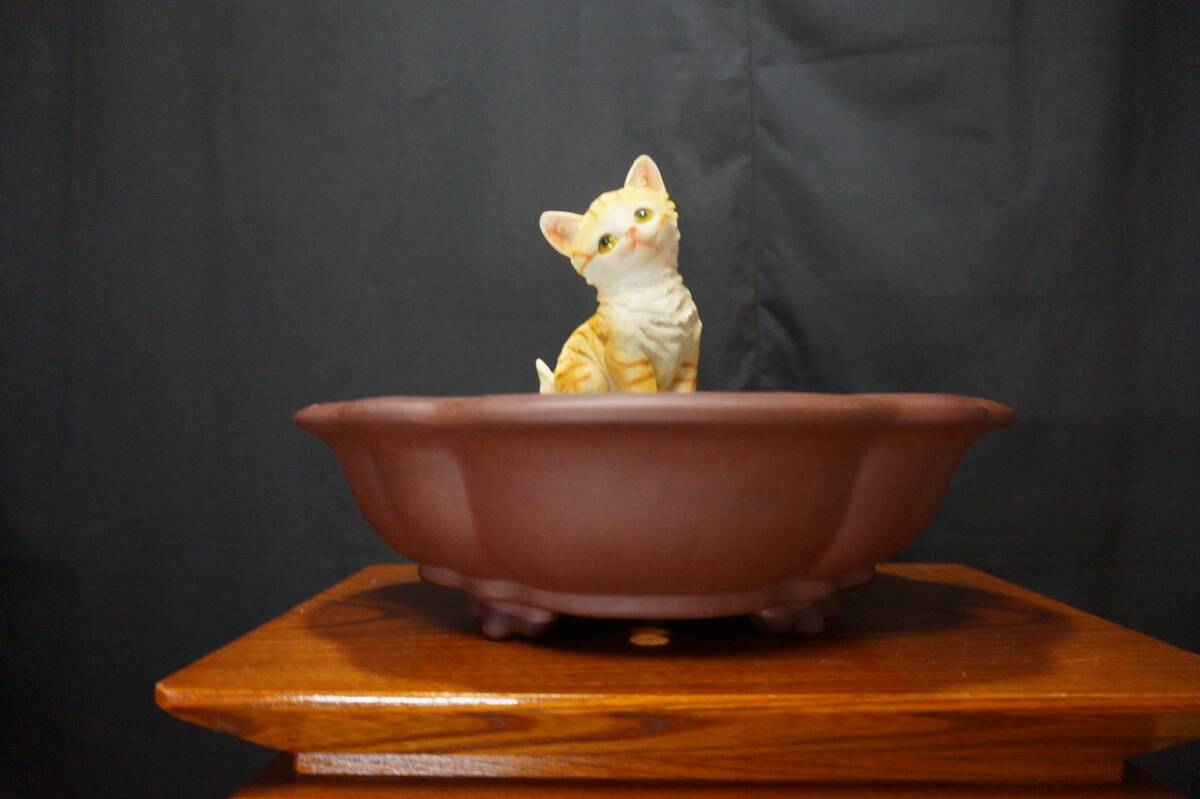 周寶山　中国　盆栽鉢　植木鉢　盆栽　落款 周寶山 中国 盆栽鉢 植木鉢 盆栽 落款