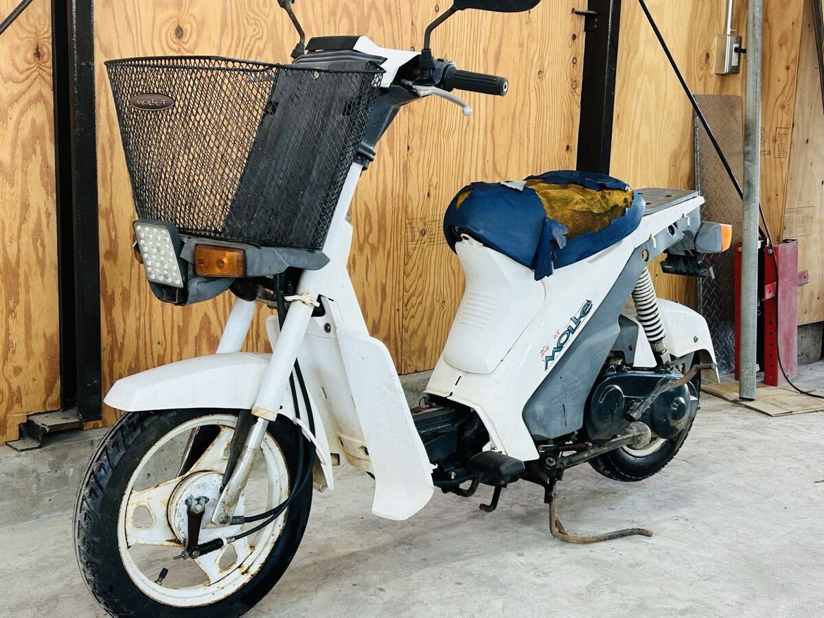 Yahoo!オークション -「スーパーモレ」(50cc以下) (スズキ)の