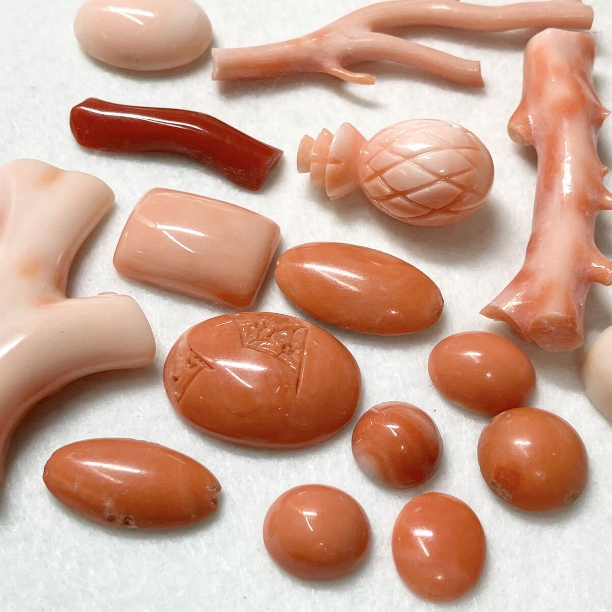 Yahoo!オークション -「本珊瑚まとめ」の落札相場・落札価格