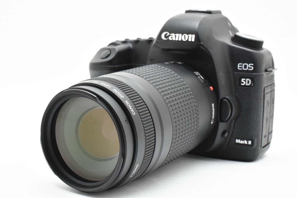 2025年最新】Yahoo!オークション -canon ef 75-300mm(デジタル