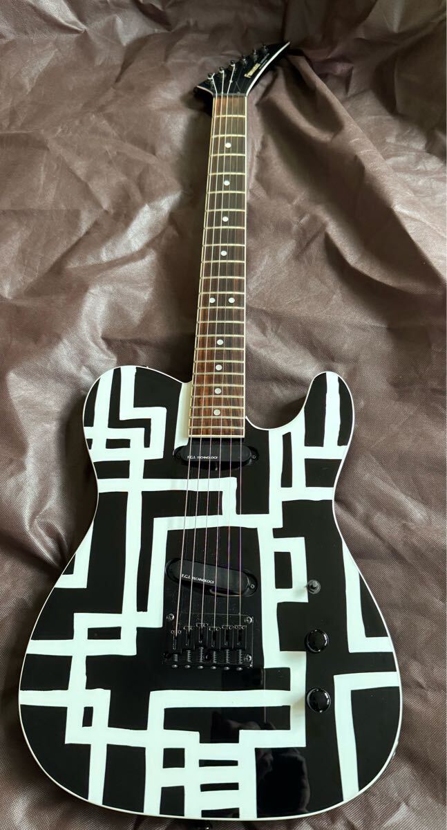 ESP Fujioka Custom 藤岡幹大シグネチャーモデル ※改造点あり ESP Fujioka Custom 藤岡幹大シグネチャーモデル ※改造点あり