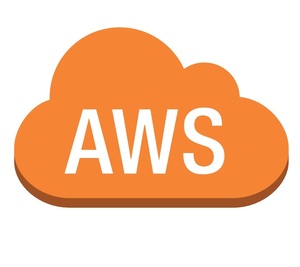 соответствие требованиям результаты большое количество AWS одобрено AIF-C01 рабочая тетрадь, возвращение денег гарантия, последний осмотр доказательство :2025/10/2, японский язык,.. шт, смартфон соответствует, AWS Certified AI Practitioner