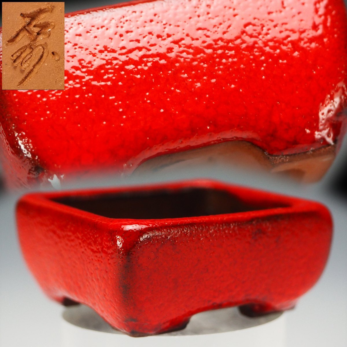 2025年最新】Yahoo!オークション - 鉢(盆栽用具 盆栽)の中古品