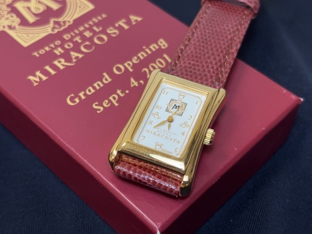 新品ディズニーランド15アニバーサリー記念腕時計(お値下げ) AqrN6ZEr8hvRuGCKSskqoOBntt2llT