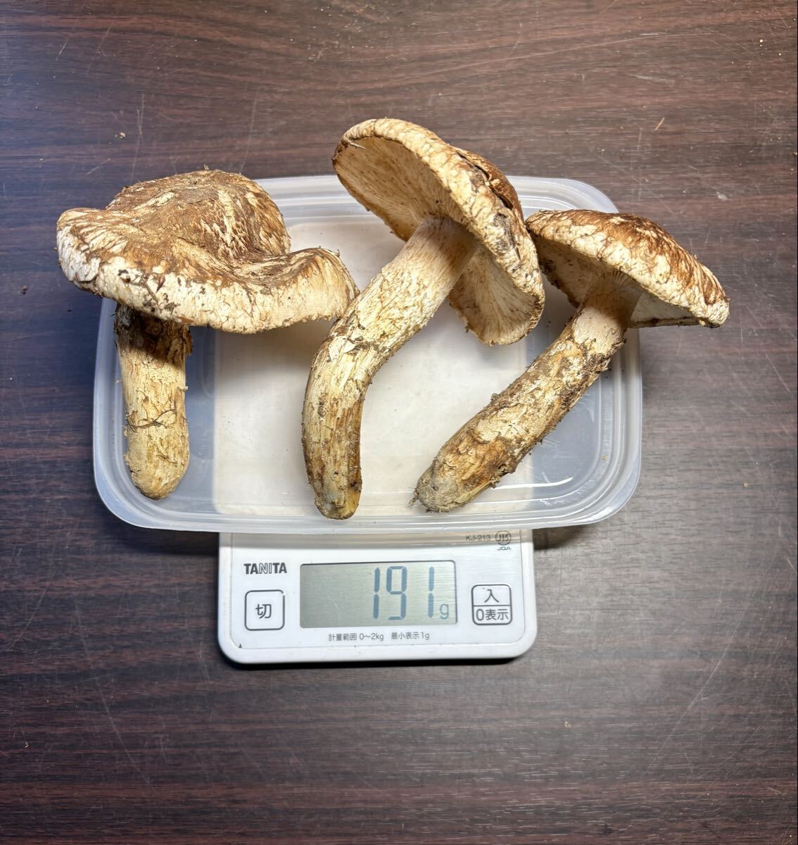 新鮮マツタケ ๑´▽`๑)/♡*｡ ✨『天然マイタケ』来たーー‼️✨ ♪───O