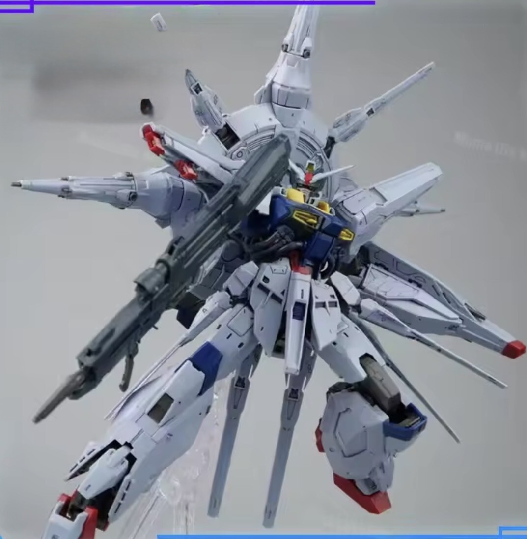 【新品未開封】MG プロヴィデンスガンダム 未開封】MG 機動戦士ガンダムSEED プロヴィデンスガンダム