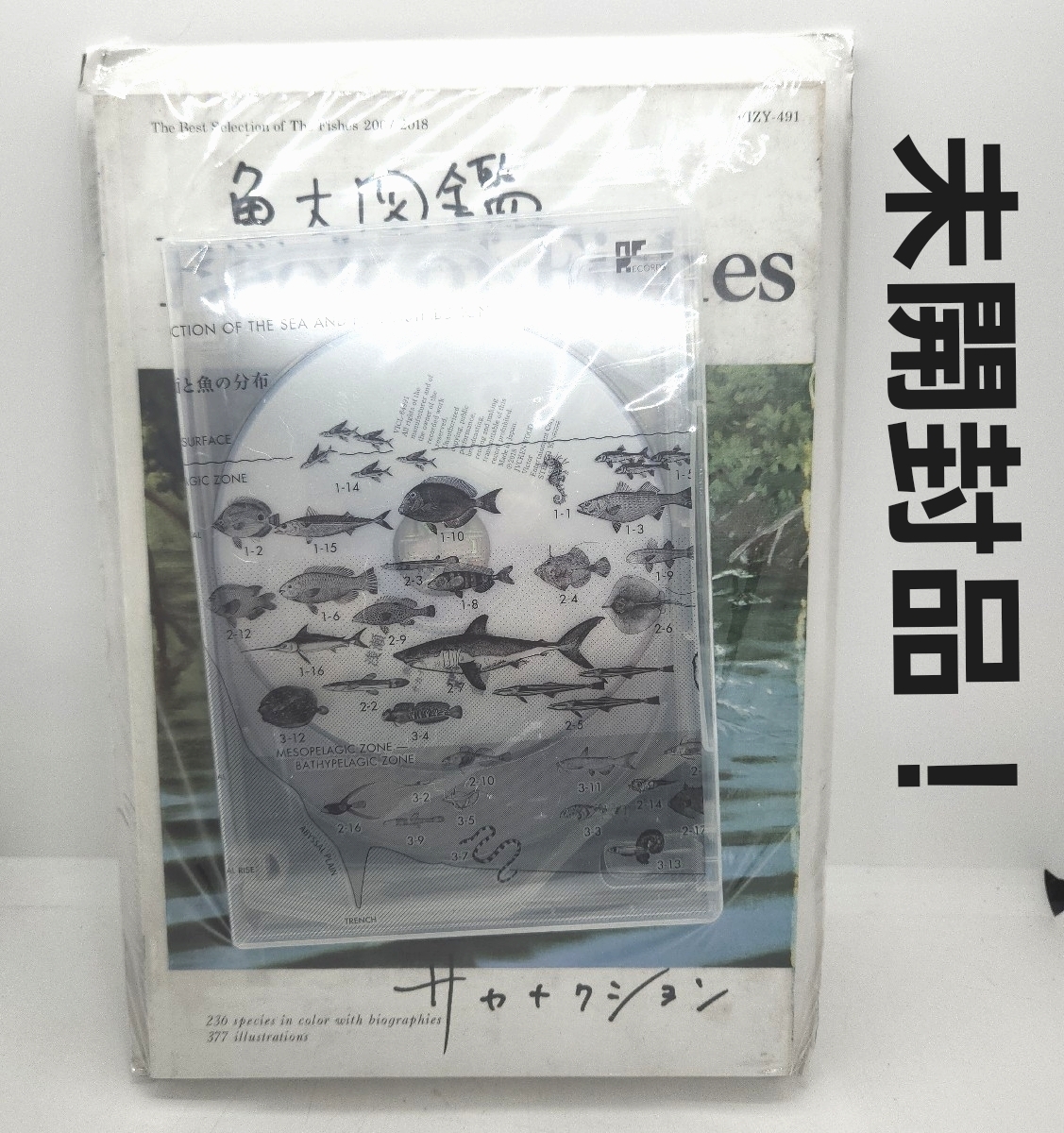 2025年最新】Yahoo!オークション -サカナクション 魚図鑑の中古