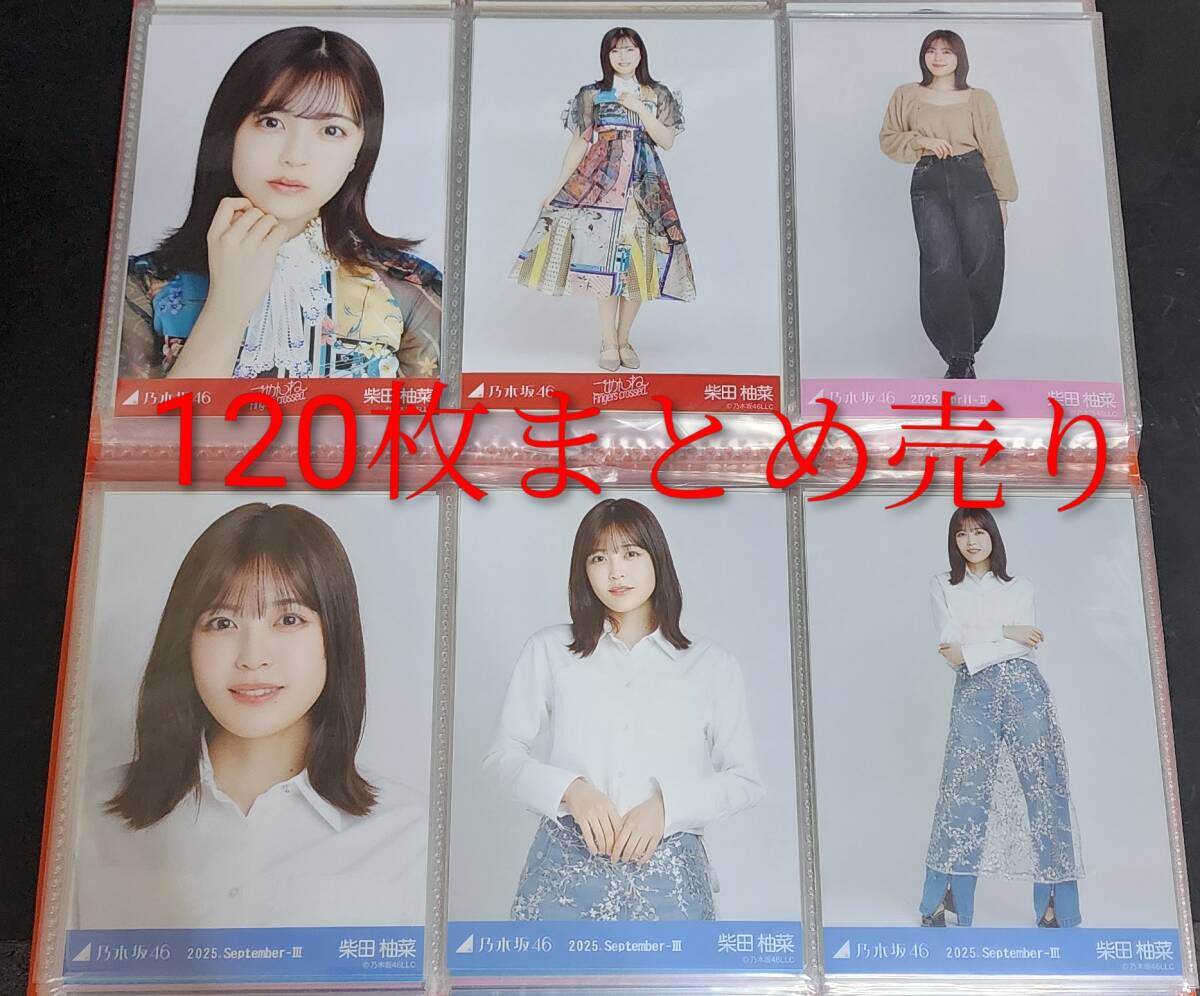 2025年最新】Yahoo!オークション -乃木坂46 まとめ売りの中古品