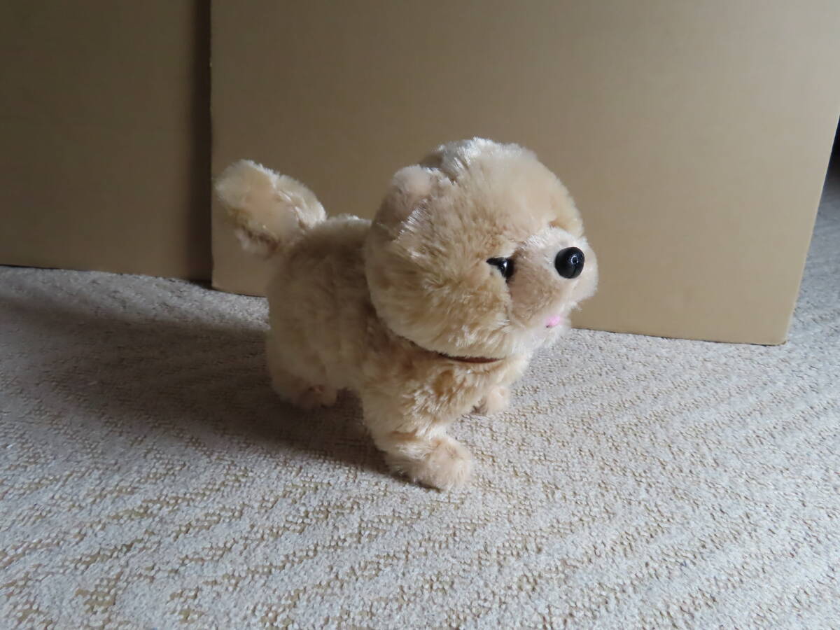 ぬいぐるみ　犬　いぬ　セリーヌ　ファースト社　レア❣️ ぬいぐるみ 犬 いぬ セリーヌ ファースト社 レア❣️ - メルカリ