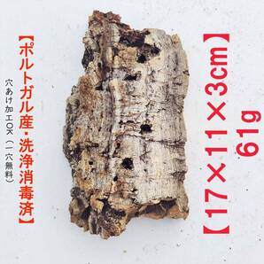 c0010 お買得品 ポルトガル産 厚め コルク樹皮 コルク板 バージンコルク 送料無料 チランジア ビカクシダ 着生ラン 両生類 爬虫類