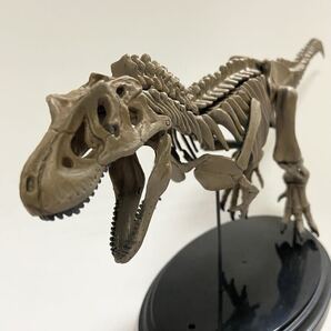 1/35 ティラノサウルス 骨格模型 全塗装済 完成品 ジュラシックパーク 恐竜 プラモデル
