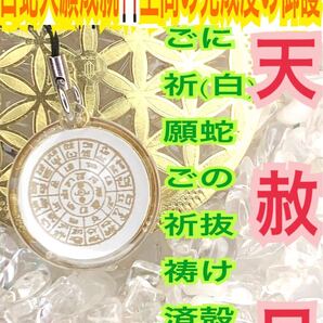 龍体文字 フトマニ図 神代文字 白蛇の抜け殻 チャーム 神字 カタカムナ メモリーオイル ストラップ 白蛇のお守り【天赦日ご祈祷済み】12