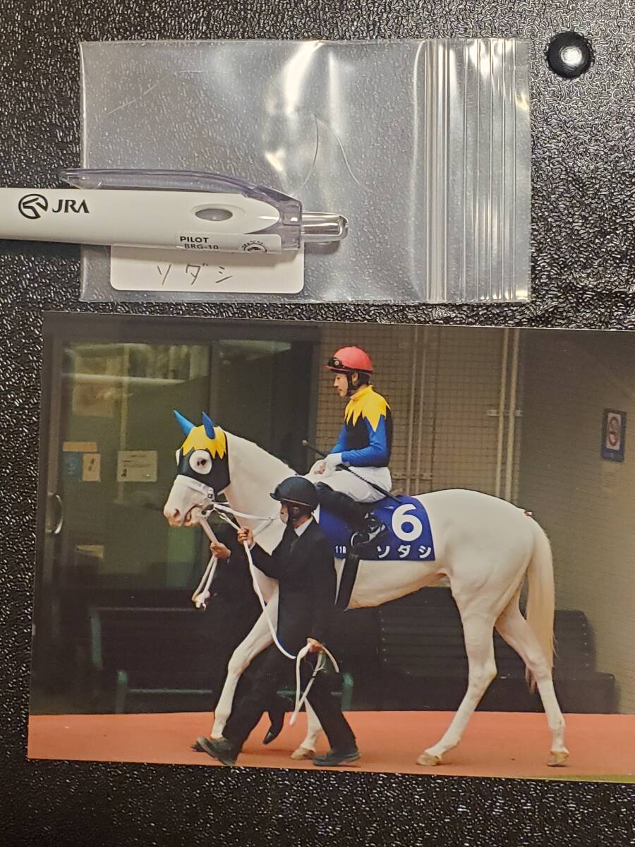 2025年最新】Yahoo!オークション -競馬 たてがみの中古品・新品