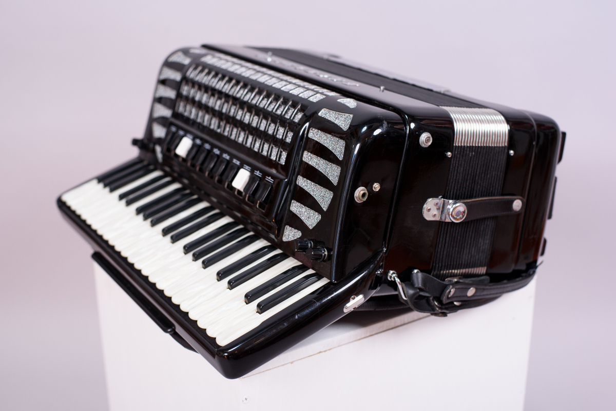 2025年最新】Yahoo!オークション -excelsior アコーディオンの