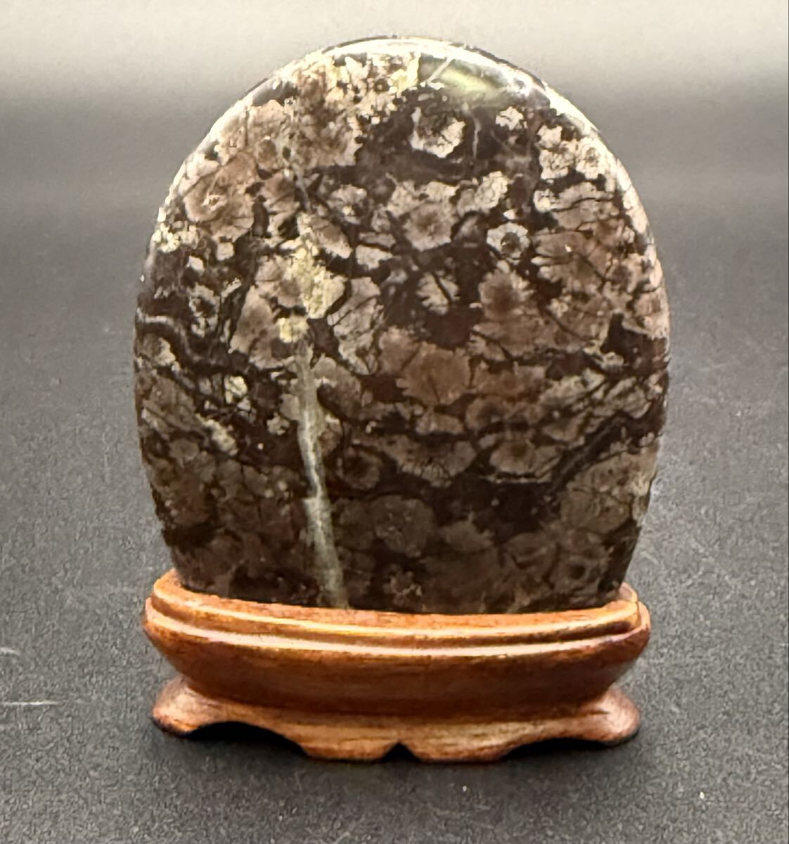 天然石　鑑賞石　菊花石　置物　重さ約24.8kg　唐木台付　F　R6820F 菊花石 鑑賞石 (産地/ 根尾 赤倉山) 唐木台 一点もの 置物