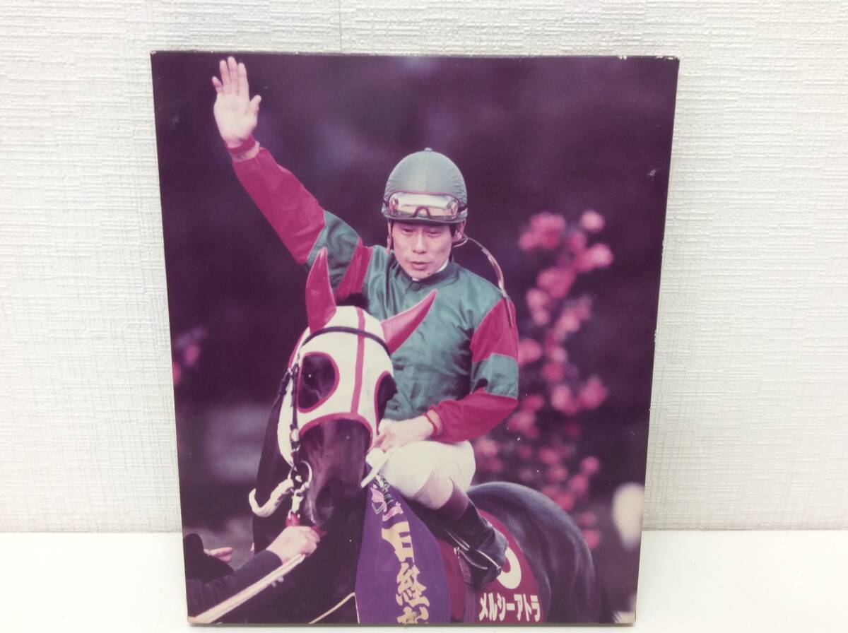 シーキングザパール　武豊　競走馬　写真パネル　額縁入り　スポーツ新聞付き シーキングザパール 武豊 競走馬 写真パネル 額縁入り スポーツ