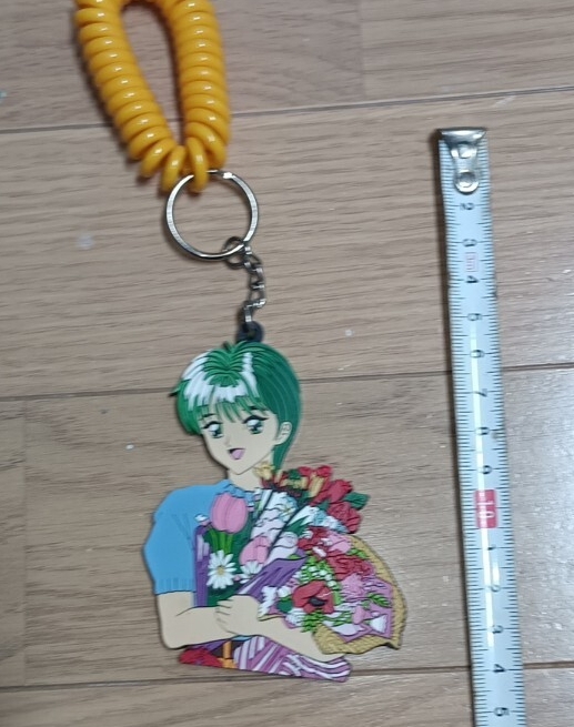 ときめきメモリアル　藤崎詩織　アニメイト　缶バッジ　キーホルダー　ステッカー 2025年最新】Yahoo!オークション -ときめきメモリアル藤崎詩織