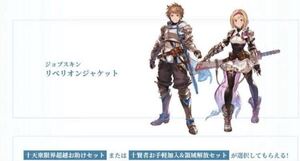 PS5/PS4 不要 グラブルスペシャルアイテムセット・Relinkパック グランブルーファンタジー リリンク コード リベリオンジャケット