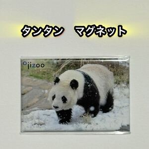 【王子動物園オリジナル】角マグネット タンタン/雪の日の散歩 未開封品 旦旦 ジャイアントパンダ