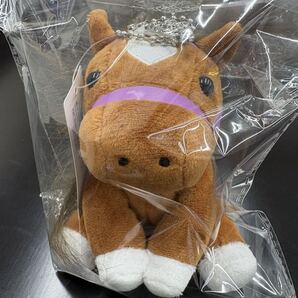 JRA非売品ウェルカムチャンスA賞 見上愛監修アイドルホースボールチェーン付きぬいぐるみ、QUOカードセット