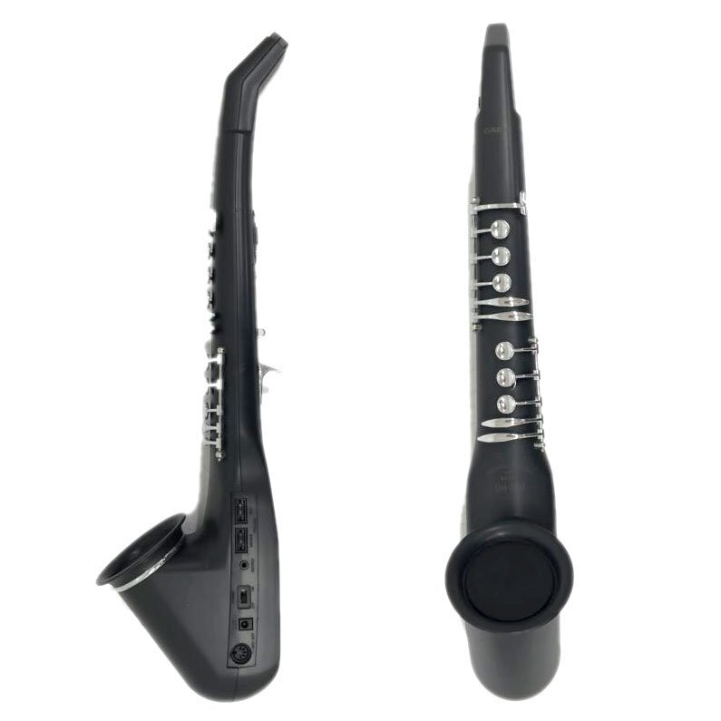 【ジャンク品】CASIO デジタルホーン DH-500 s-l400.jpg