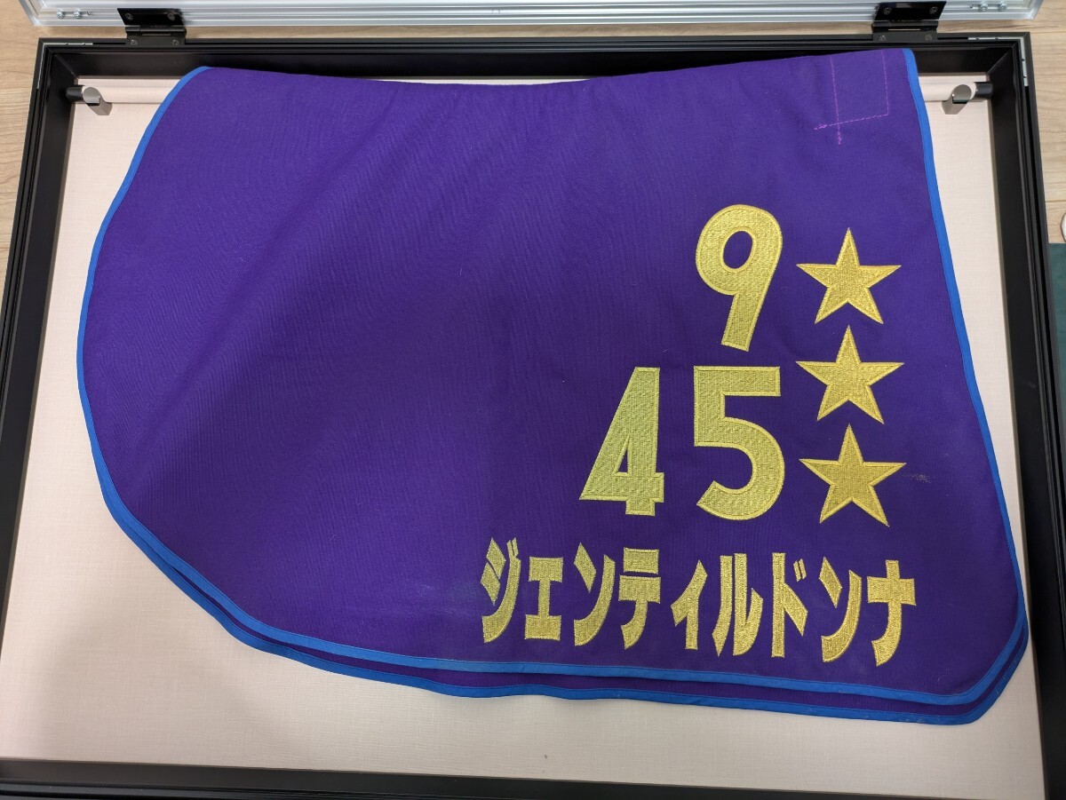 競馬 実使用ゼッケン GⅡ ラブリーデイ ラブリーデイ｜JBISサーチ（JBIS-Search）