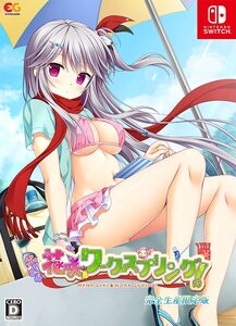 【中古】花咲ワークスプリング! 完全生産限定版 -Switch 【特典】アクリルレイヤーフレーム(3層) 同梱