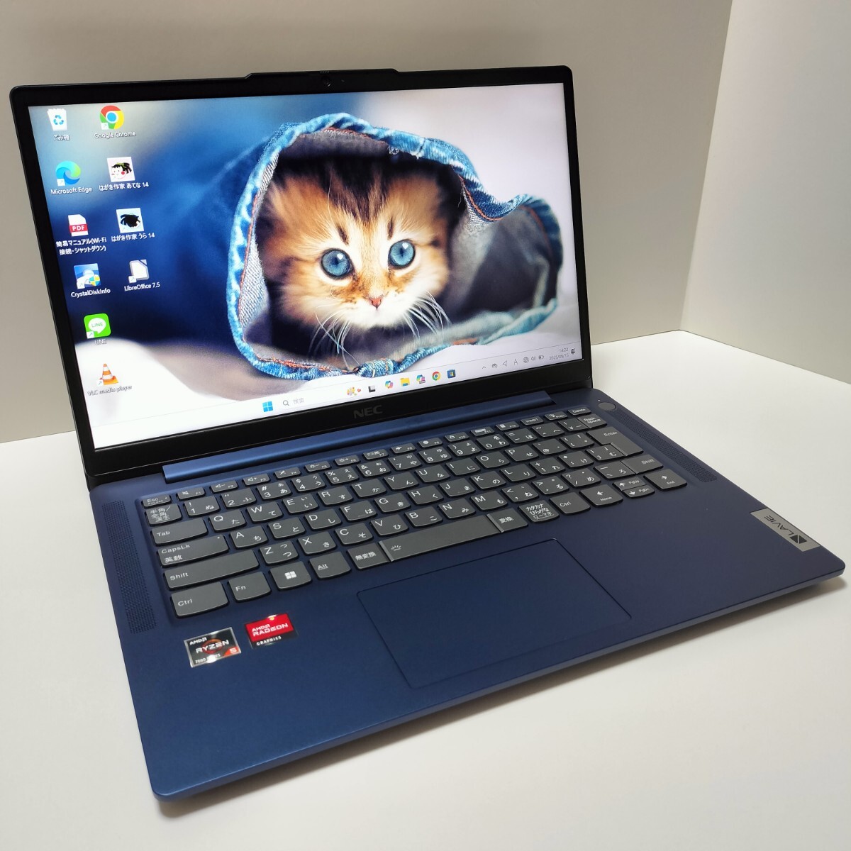 NEC LAVIE N14 Slim N1455/HAL PC-N1455HAL [ネイビーブルー