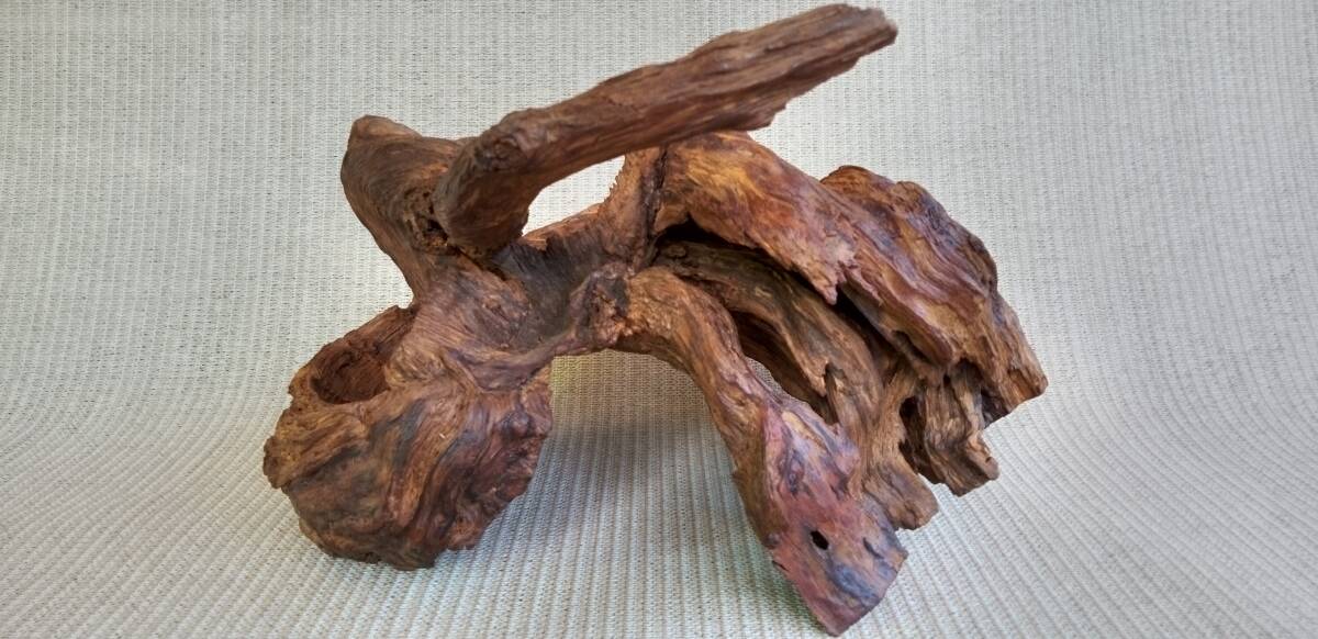 2025年最新】Yahoo!オークション -木 瘤(アンティーク、コレクション