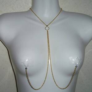 セクシーランジェリー コスプレ 露出 オープンクロッチ ボディストッキング スーパーマイクロビキニ オープンバスト_gold_b_23フ