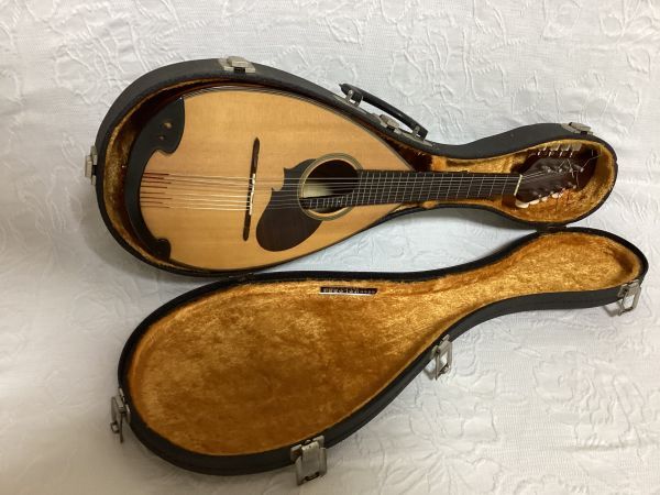 Yahoo!オークション -「スズキマンドリン」の落札相場・落札価格