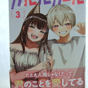 コミックス ガルルガール 3巻 251012 コミック 本 マンガ 漫画 角川コミックス・エース 原聡志/著