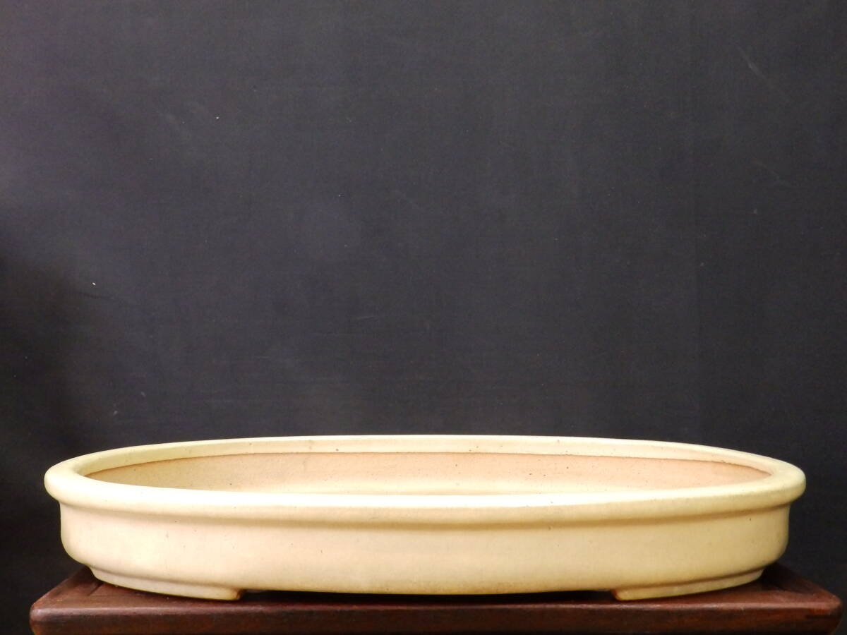 Yahoo!オークション -「黎鳳」(盆栽) の落札相場・落札価格