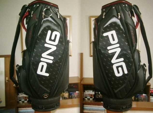 PING トロピカル柄 スタンドバッグ◾️新品未使用◾️レア◾️ピン PING トロピカル柄 スタンドバッグ◾️新品未使用◾️レア